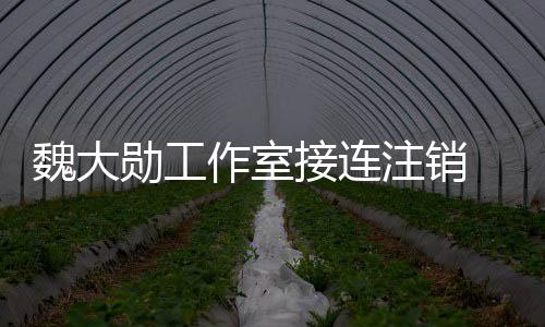 接连 经及多个方面勋工作室注销营范魏大围涉