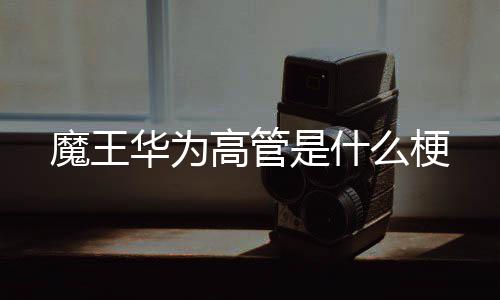 高管魔王么梗华为是什