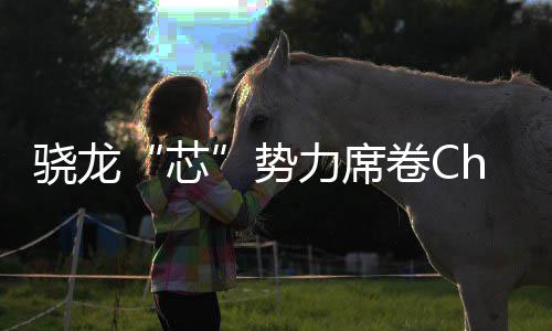卷C局的技术力席密码骁龙芯域布全领势手机