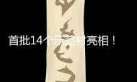  首批14个示范村亮相！上海解锁乡村旅游新场景