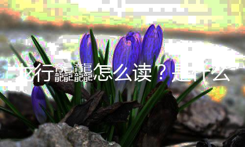 台春龙行年总龘龘读么意宣怎么晚官是什思