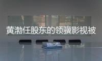  黄渤任股东的领骥影视被限制消费 执行标的超6千万