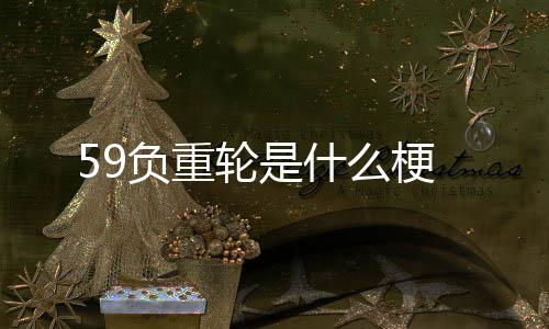 轮是梗什么负重
