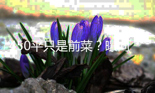 婷豪郭碧向太只是再送宅和0平曝前菜空地