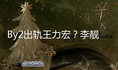 报警靓蕾力宏李轨王2工作室回应2出声明发布