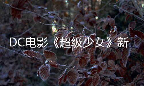 级少告 狗大女电影新预又是一只超为了杀四方