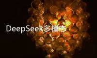  DeepSeek多模态模型来了，已公布技术报告