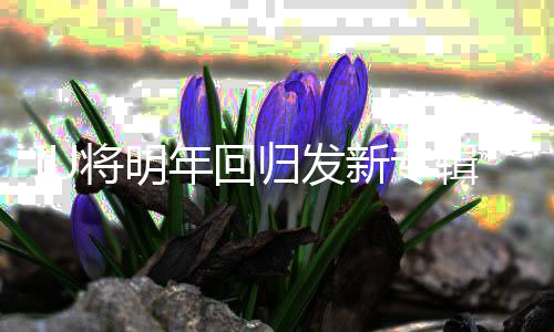 泰亨将明辑金归发年回新专新歌拍摄参与