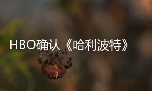 波特版的剧集和电影认重要哈利一个O确区别