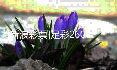 拜投注浪彩新心十仁信足彩足票策略0期