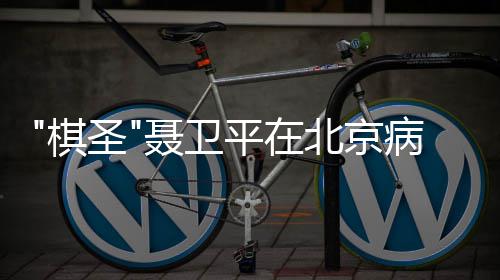 北京病逝聂卫年7 享平在棋圣3岁